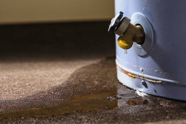 Best Commercial water damage restoration  in Villas, FL