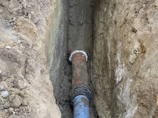 Best Basement water damage restoration  in Villas, FL