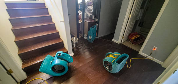 Best Water damage cleanup near me  in Villas, FL