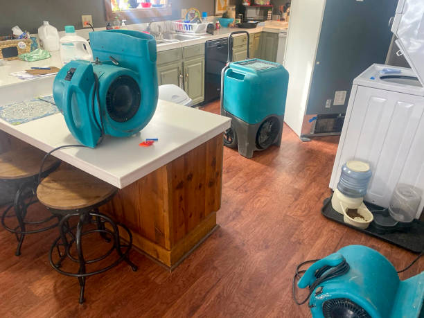 Best Emergency water damage restoration  in Villas, FL