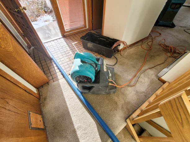 Best Carpet water damage restoration  in Villas, FL