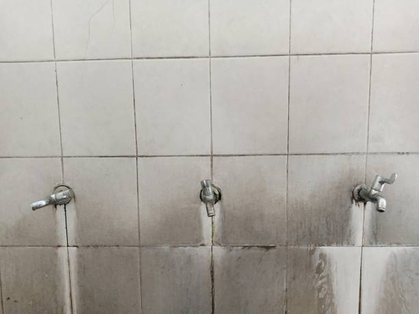 Best Sewage cleanup and water damage restoration  in Villas, FL