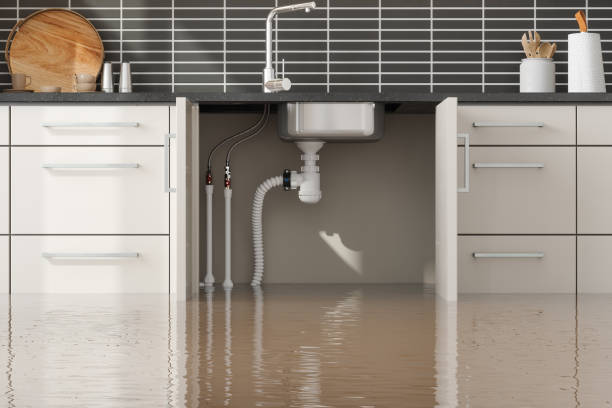 Best Fire Damage Restoration  in Villas, FL