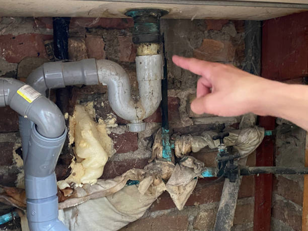 Best Water damage restoration process  in Villas, FL