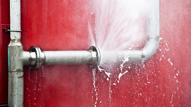 Best Ceiling water damage repair  in Villas, FL